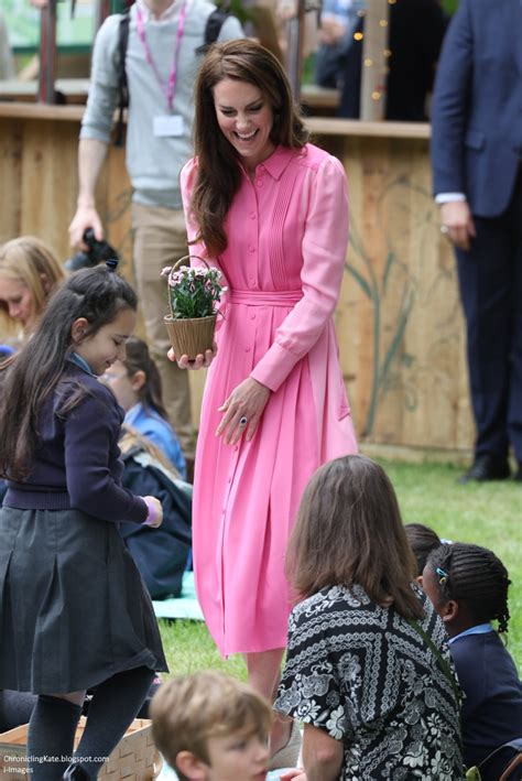 chronicling kate blog